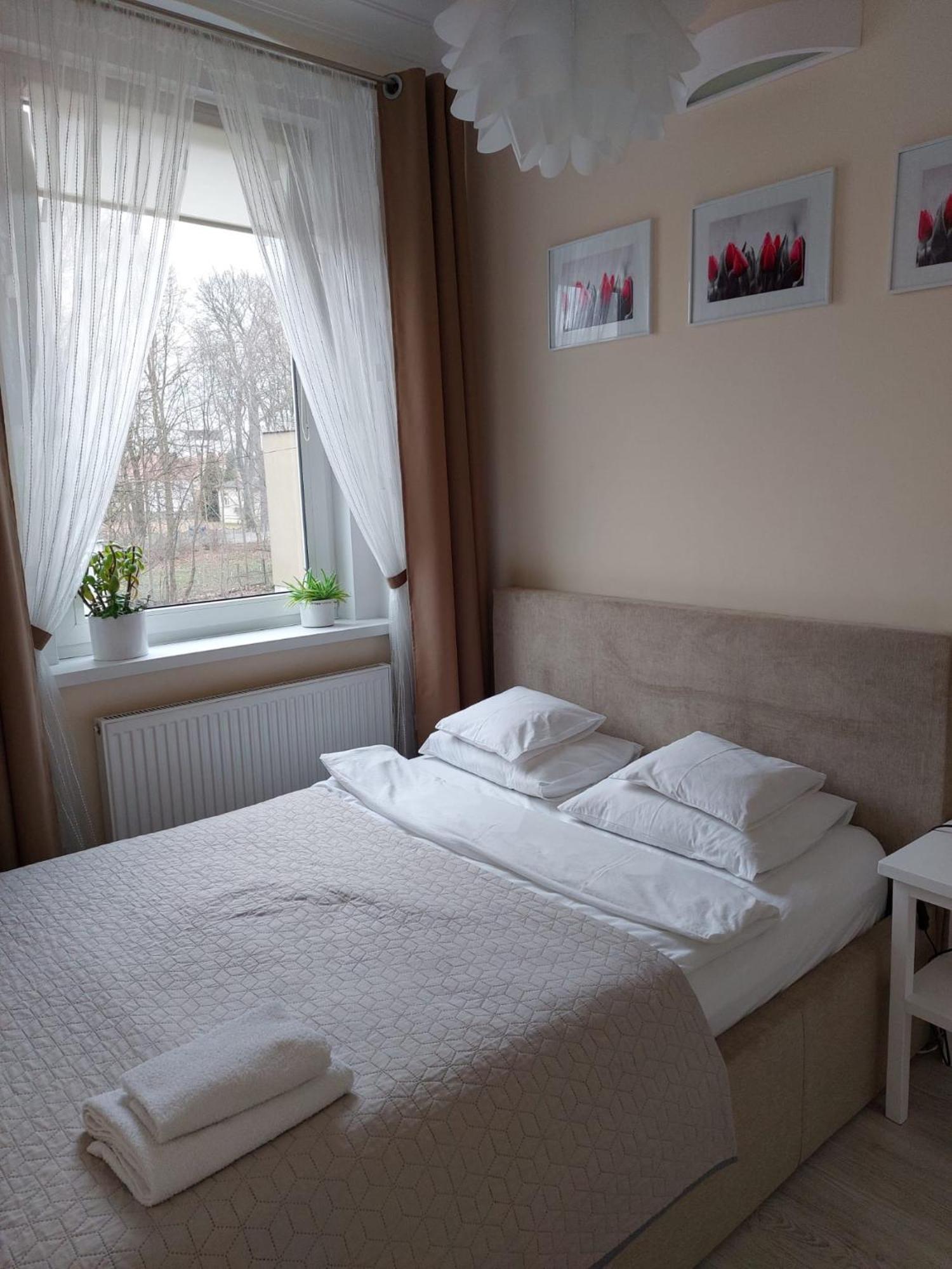 Come&Stay Zielona Gora Bagian luar foto